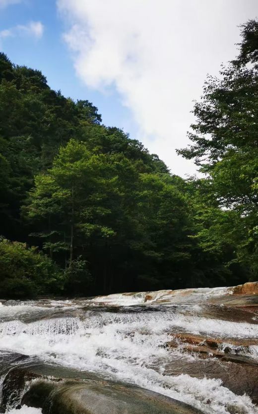 25061612113087683.jpg