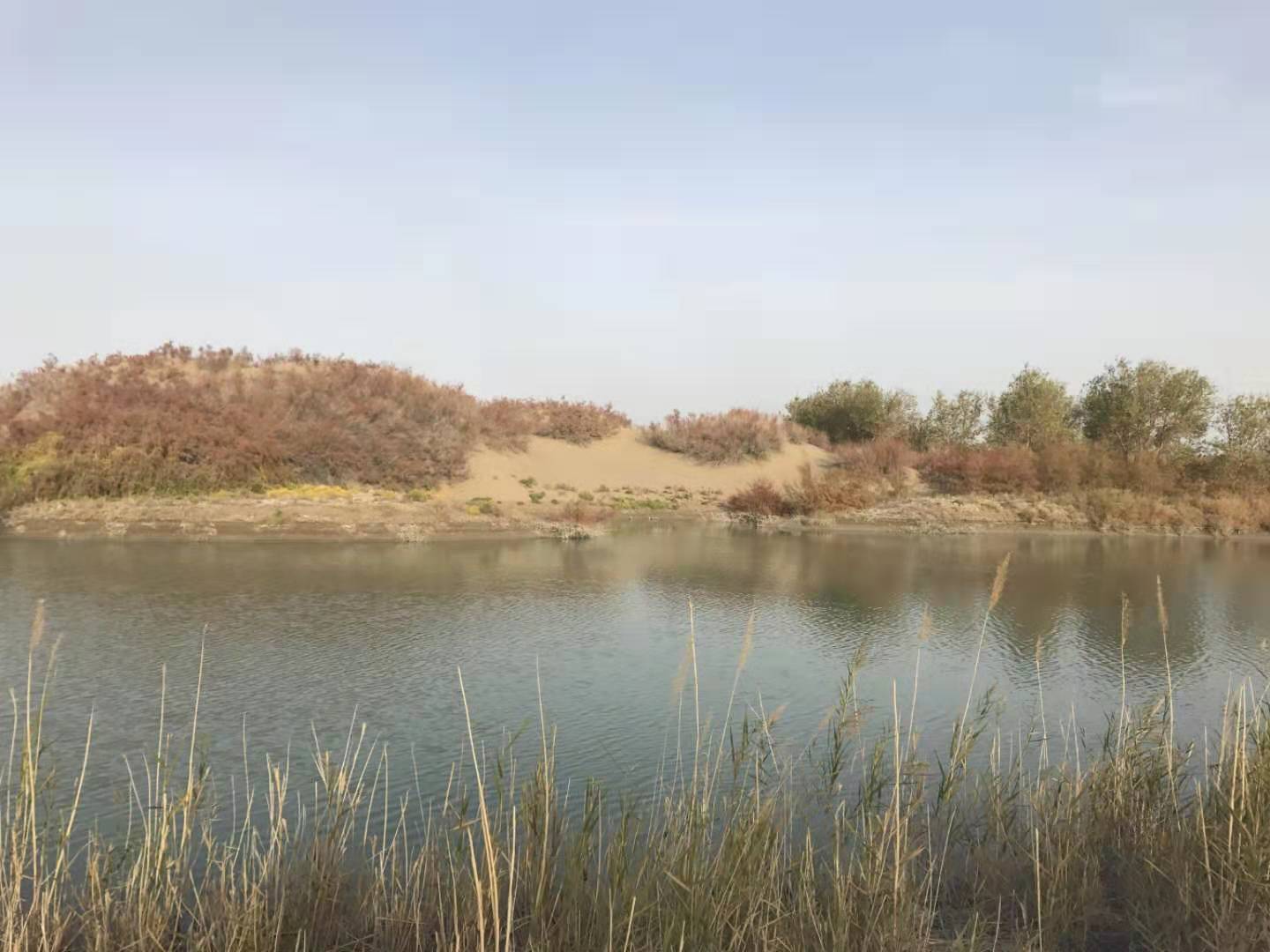 23061415401135720.jpg
