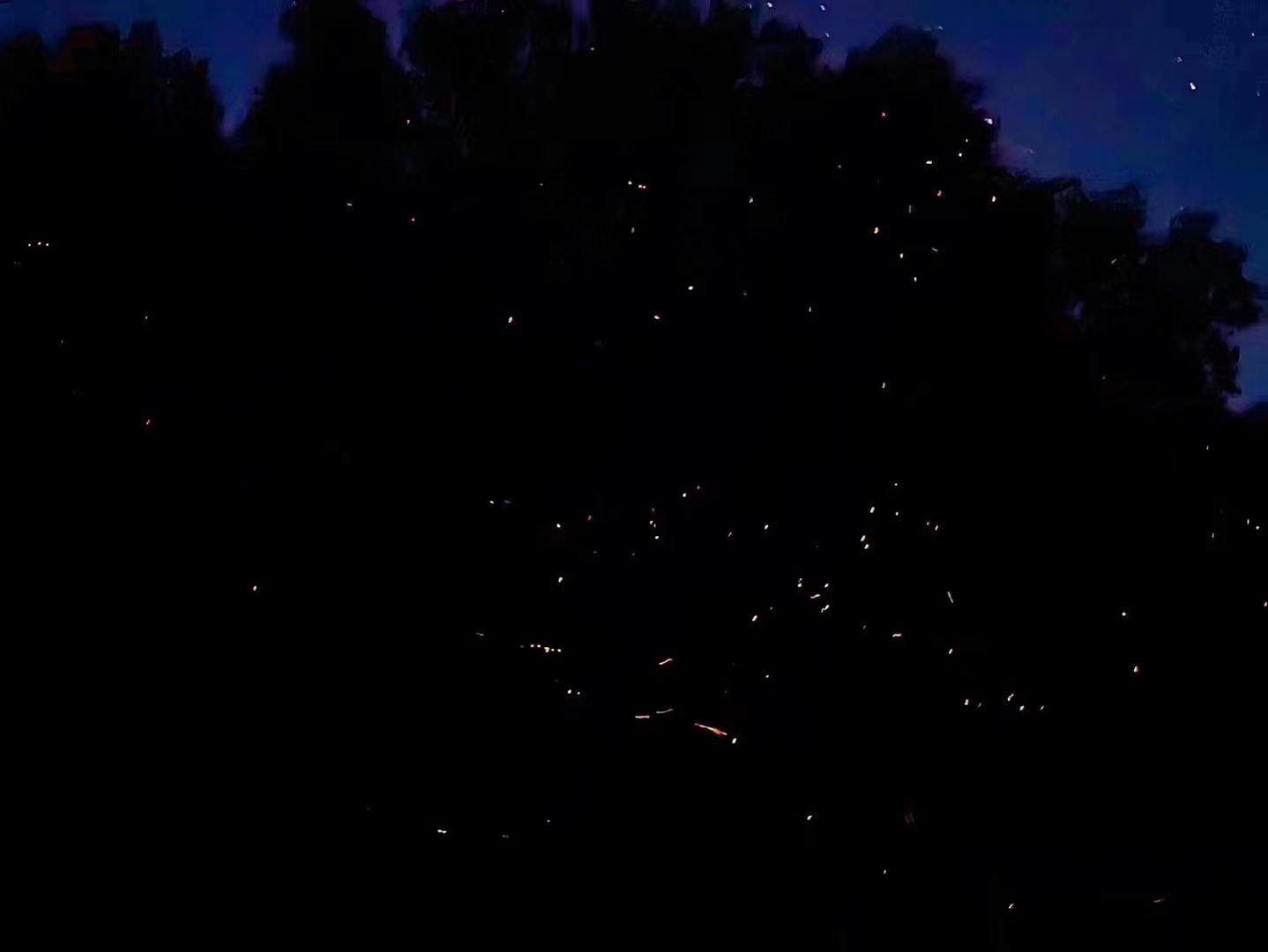 23091110331444726.jpg