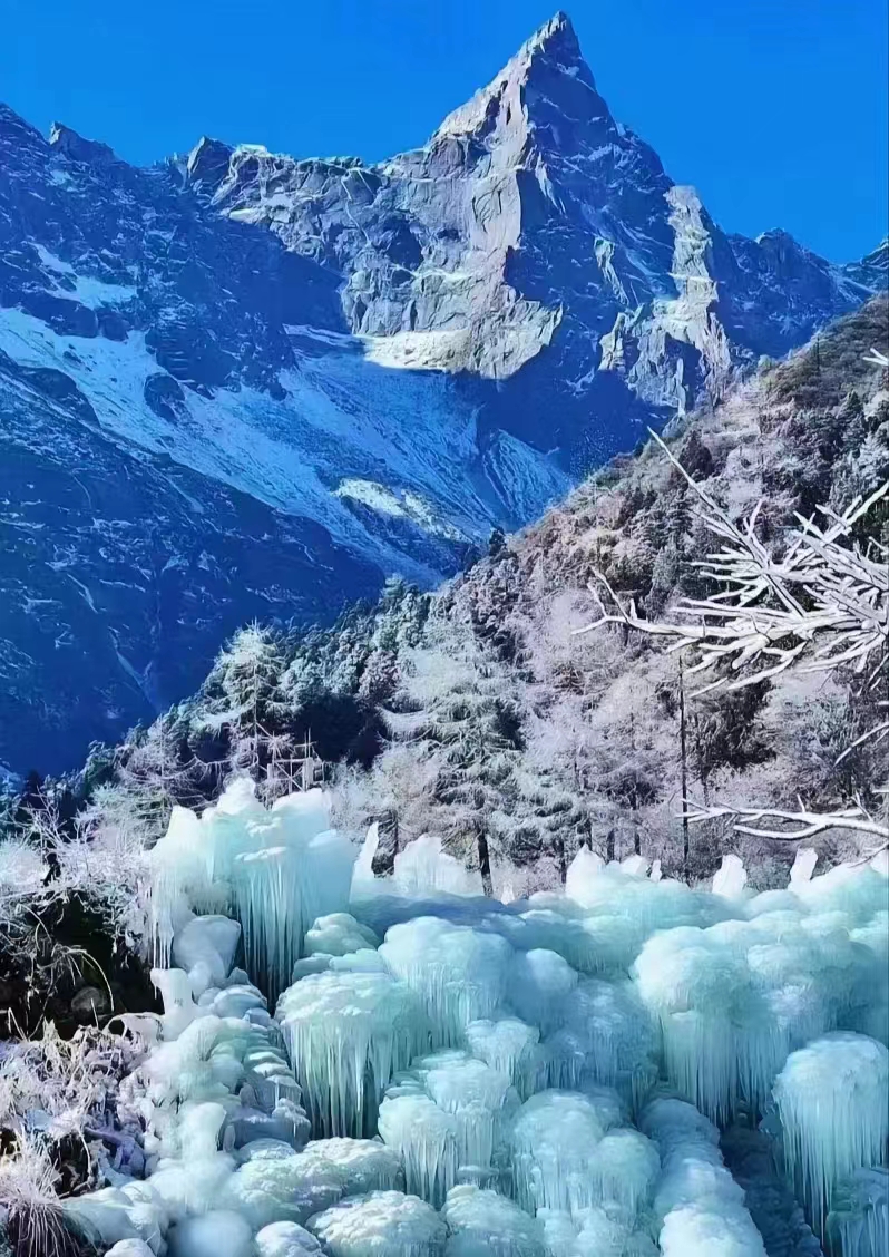 23122709391303608.jpg